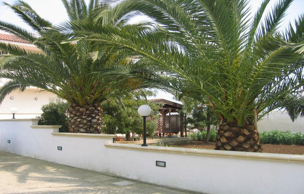 B&B Villa Teresa Lecce Exterior photo